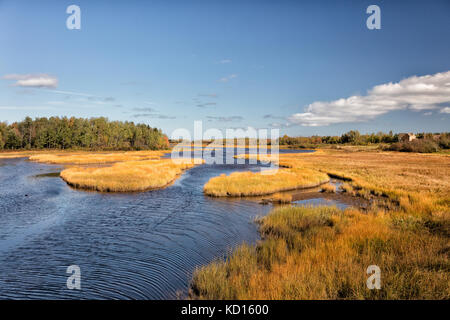 Marsh, cap-pele, New Brunswick, Canada Foto Stock