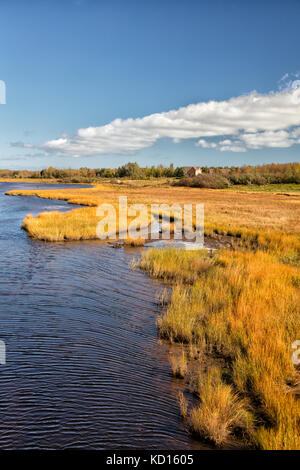 Marsh, cap-pele, New Brunswick, Canada Foto Stock