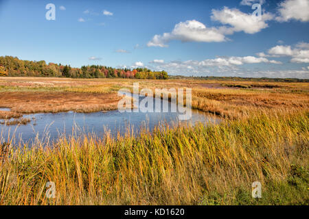 Hall's Creek, hillsborough, Albert County, New Brunswick, Canada Foto Stock