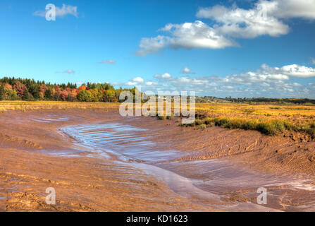 Hall's Creek, hillsborough, Albert County, New Brunswick, Canada Foto Stock