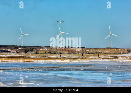 Vista di lingan turbine eoliche dal dominio spiaggia parco provinciale, Cape Breton , Nova Scotia, Canada Foto Stock
