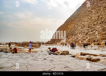 Cammello vicino alla antica Piramide del Cairo in Egitto Foto Stock