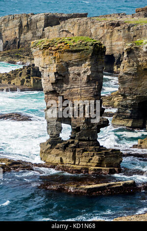 Il castello di Yesnaby, Yesnaby, Orkney Mainland, Scozia, Regno Unito. Foto Stock
