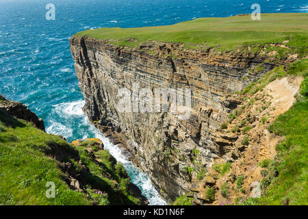 Le scogliere a Yesnaby, Orkney Mainland, Scozia, Regno Unito. Foto Stock