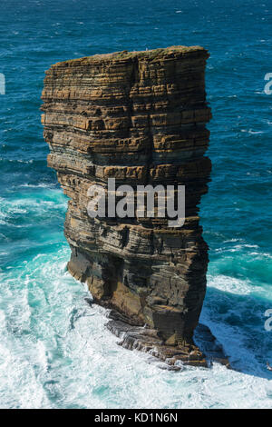 Il North Gaulton Castle Sea Stack, Yesnaby, Orkney Mainland, Scozia, Regno Unito. Foto Stock