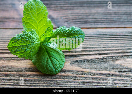 Mint su uno sfondo di legno. Foto Stock