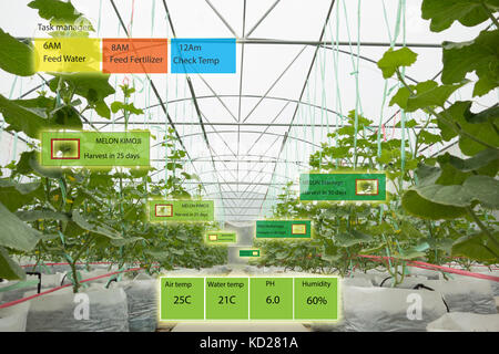 Agricoltura intelligente concetto, agronomo o agricoltore usa l'intelligenza artificiale e la realtà aumentata in una fattoria per far crescere i sistemi, il risparmio di acqua ,resource Foto Stock