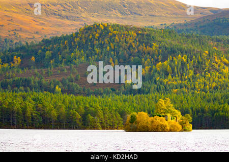 Cairngorms, UK. una giornata calda e soleggiata nel parco nazionale di Cairngorms nelle Highlands della Scozia con i colori dell'autunno cambiando la foresta rothiemurhus attorno a Loch un eilein sul rothiemurchus estate nel tardo pomeriggio di sole Foto Stock