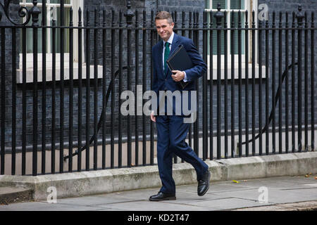 Londra, Regno Unito. Decimo oct, 2017. gavin williamson mp, chief whip, arriva al 10 di Downing Street per una riunione del gabinetto. Credito: mark kerrison/alamy live news Foto Stock