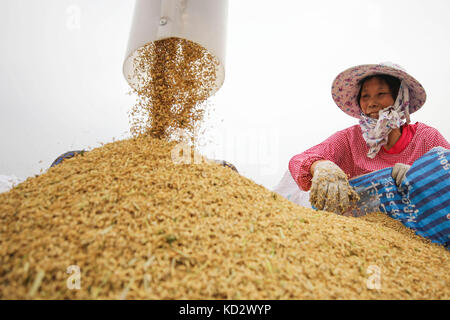 Lianyungang, cinese della provincia di Jiangsu. Decimo oct, 2017. un agricoltore carichi di riso in lianyungang, est cinese della provincia di Jiangsu, oct. 10, 2017. Credito: si wei/xinhua/alamy live news Foto Stock