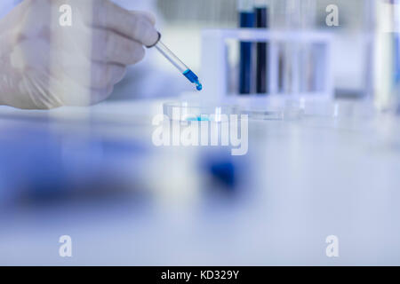 Lavoratore di laboratorio utilizzando una pipetta, liquido di gocciolamento in piastre petri, close-up Foto Stock