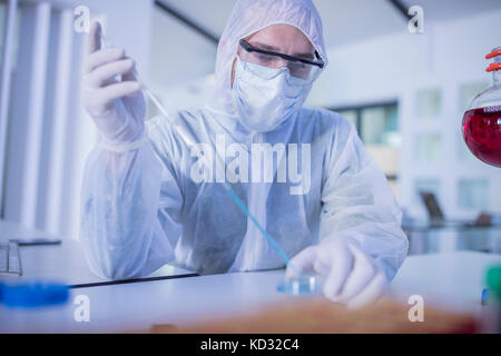 Lavoratore di laboratorio mediante pipetta lungo, liquido di gocciolamento in capsula di petri Foto Stock