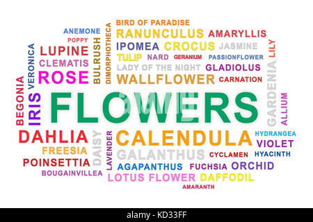 Fiori word cloud su sfondo bianco. Foto Stock