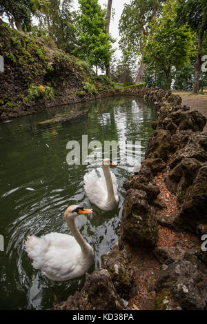 Giardino tropicale monte Palace, situato nella città di Funchal, l'isola di Madeira, Portogallo. Foto Stock