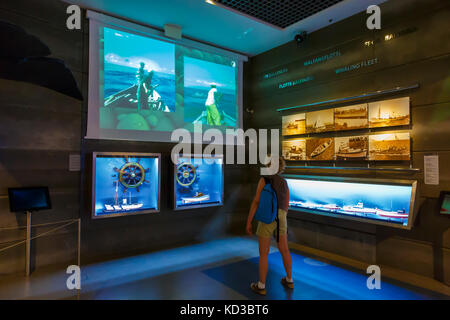 Museo delle balene. Caniçal. Madera, Portogallo, Europa. Foto Stock