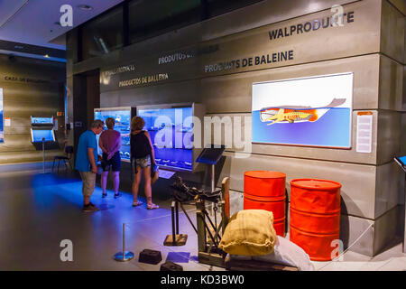 Museo delle balene. Caniçal. Madera, Portogallo, Europa. Foto Stock