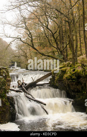 Camminano sentieri in Brecon Beacons cascata paese Foto Stock