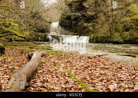 Camminano sentieri in Brecon Beacons cascata paese Foto Stock