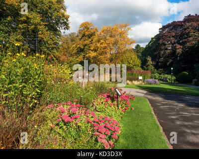 Le aiuole nei giardini della valle a inizio autunno Harrogate North Yorkshire, Inghilterra Foto Stock