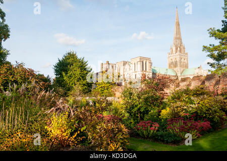 Il Palazzo del Vescovo giardino in Chichester con la cattedrale in background. Foto Stock