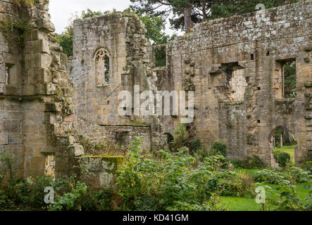 Rovine dell'abbazia di Jervaulx, North Yorkshire, Inghilterra. Foto Stock