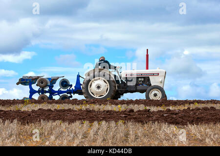 David Brown Selectamatic 880 aratura Campo di stoppie REGNO UNITO Foto Stock