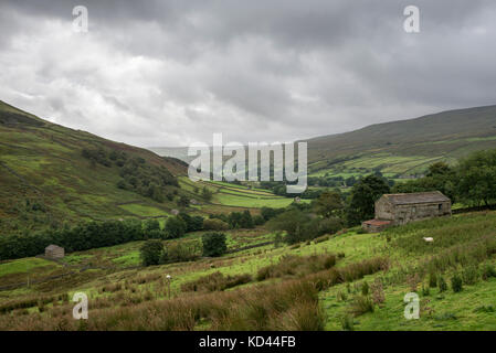 Swaledale superiore in una piovosa giornata di settembre, Yorkshire Dales, Inghilterra. Foto Stock