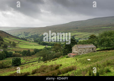 Swaledale superiore in una piovosa giornata di settembre, Yorkshire Dales, Inghilterra. Foto Stock