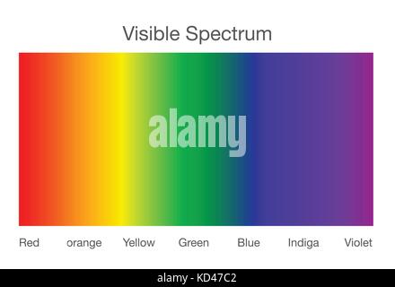 Lo spettro visibile della luce. Illustrazione Vettoriale