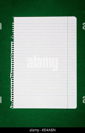 Foglio di notebook su sfondo verde Foto Stock