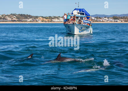 Portogallo - 12 settembre 2017: un avvistamento delfini Escursione in barca al largo di lagos in Algarve, Portogallo, il 12 settembre 2017. Foto Stock