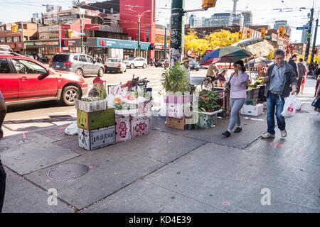 I venditori ambulanti vendono verdure lungo Spadina Ave in Chinatown nel centro cittadino di Toronto Ontario Canada Foto Stock