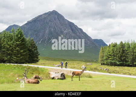 West Highland Way walkers, Scotland, Regno Unito Foto Stock