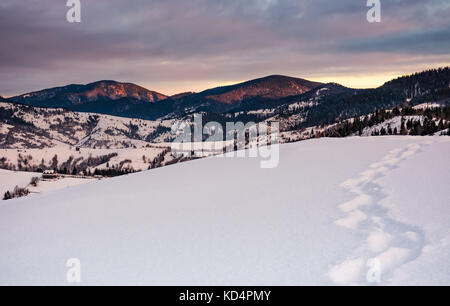 Il sentiero sul pendio nevoso in montagna a sunrise. stupendo paesaggio invernale nei Carpazi con cielo molto nuvoloso Foto Stock