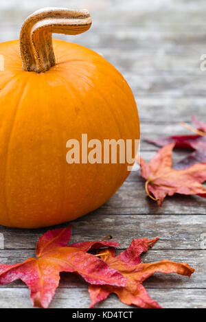 La zucca con colorate Foglie di autunno su una tavola in legno rustico. Close up dettaglio. Foto Stock