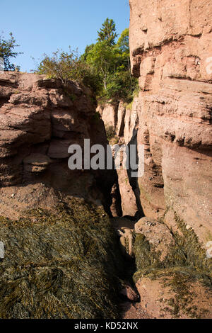 Il famoso hopewell rocce formazioni geologigal a bassa marea più grande onda di marea Baia di Fundy New Brunswick canada Foto Stock