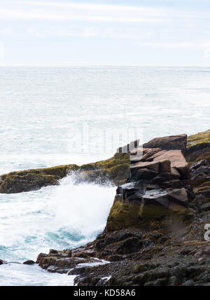 Un affioramento roccioso in aggetto verso l'oceano atlantico. Le rocce sono alghe su di essi. fotografato in luce naturale nel parco nazionale di Acadia, Maine. Foto Stock