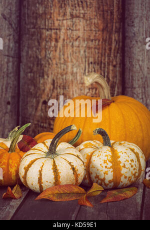 Mini zucche e uno zucchero torta di zucca con foglie di autunno contro il legno rustico sfondo, spazio di copia Foto Stock