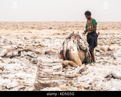 Danakil depressione, Etiopia - giugno 29, 2016: lontano uomo mining sale di appartamenti nella regione di Afar, danakil depressione, Etiopia. Foto Stock