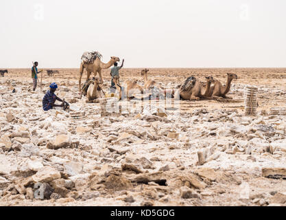 Danakil depressione, Etiopia - giugno 29, 2016: lontano uomo mining sale di appartamenti nella regione di Afar, danakil depressione, Etiopia. Foto Stock