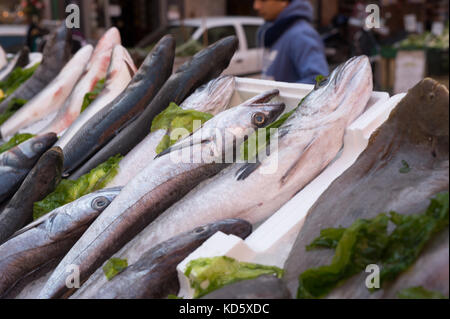 Merluzzi, Mediterranea di pesce al mercato di napoli, Italia Foto Stock