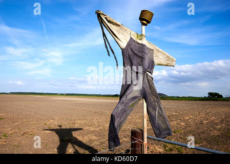 Lo Spaventapasseri in un campo agricolo per la caccia di volatili di distanza Foto Stock