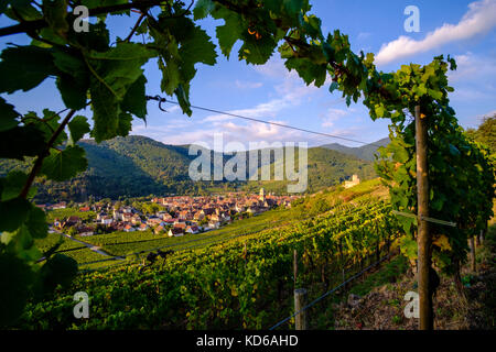 Antenna vista panoramica sulla piccola città circondata da vigneti, situato ai piedi delle colline in Alsace Foto Stock