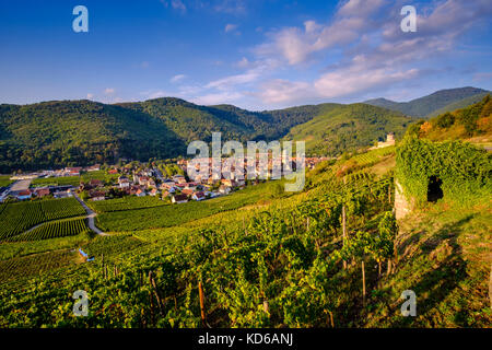 Antenna vista panoramica sulla piccola città circondata da vigneti, situato ai piedi delle colline in Alsace Foto Stock