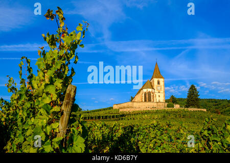 Chiesa ecumenica saint-jacques-le-majeur è situato tra i vigneti che circondano il villaggio storico ai piedi delle colline in Alsace Foto Stock