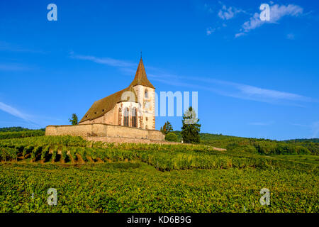 Chiesa ecumenica saint-jacques-le-majeur è situato tra i vigneti che circondano il villaggio storico ai piedi delle colline in Alsace Foto Stock