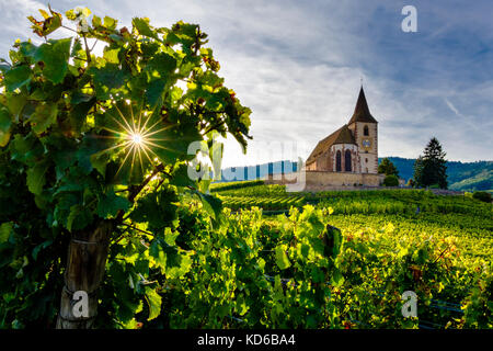 Chiesa ecumenica Saint-Jacques-le-Majeur è situato tra i vigneti che circondano il villaggio storico ai piedi delle colline in Alsace Foto Stock