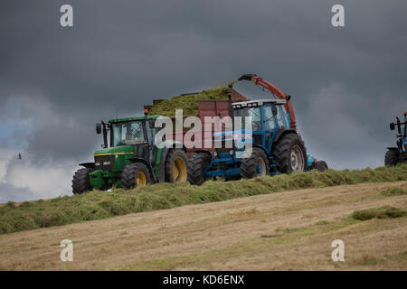 Tritare con insilato utilizzato come alimentazione invernale per bestiame da latte di un mediante un 1993 Ford 8630 e a un 2006 Giovanni Derôme 6610 Foto Stock