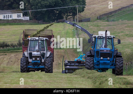 L'annata 1990 Ford 8830 su 2006 reco mengele sh40n forager, la trinciatura erba per inverno mangimi per bestiame da latte con 1989 Ford 7810, (Silver Jubilee) Foto Stock