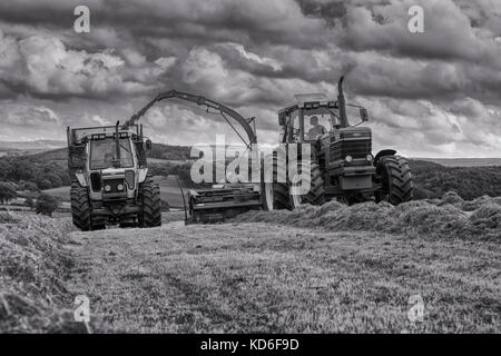 L'annata 1990 Ford 8830 su 2006 Reco Mengele sh40n forager, la trinciatura erba per inverno mangimi per bestiame da latte con 1989 Ford 7810, (Silver Jubilee) Foto Stock